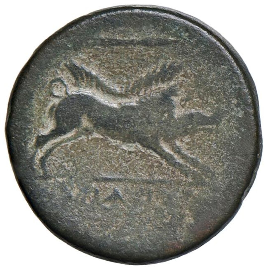 Rovescio moneta