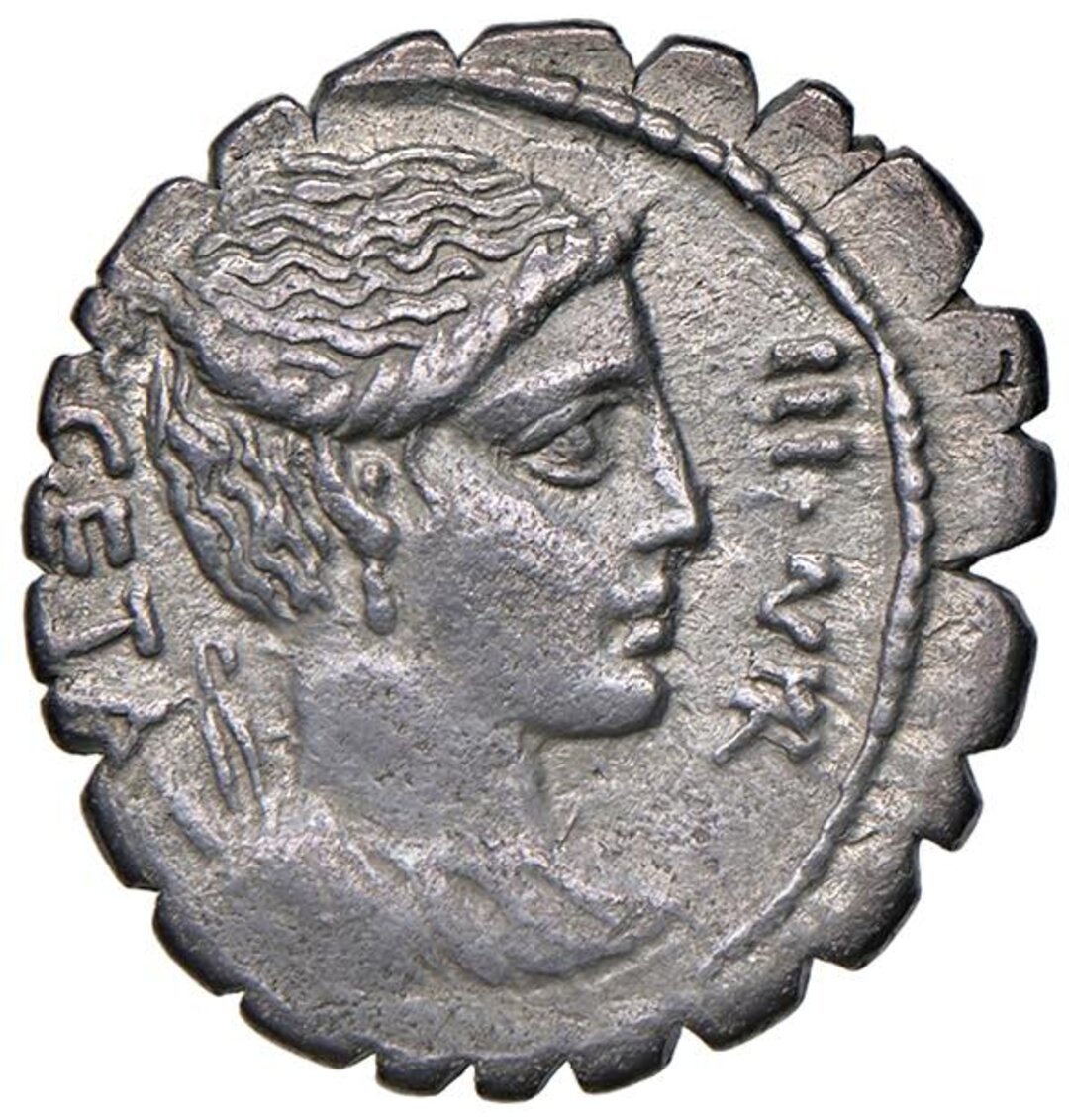 Dritto moneta