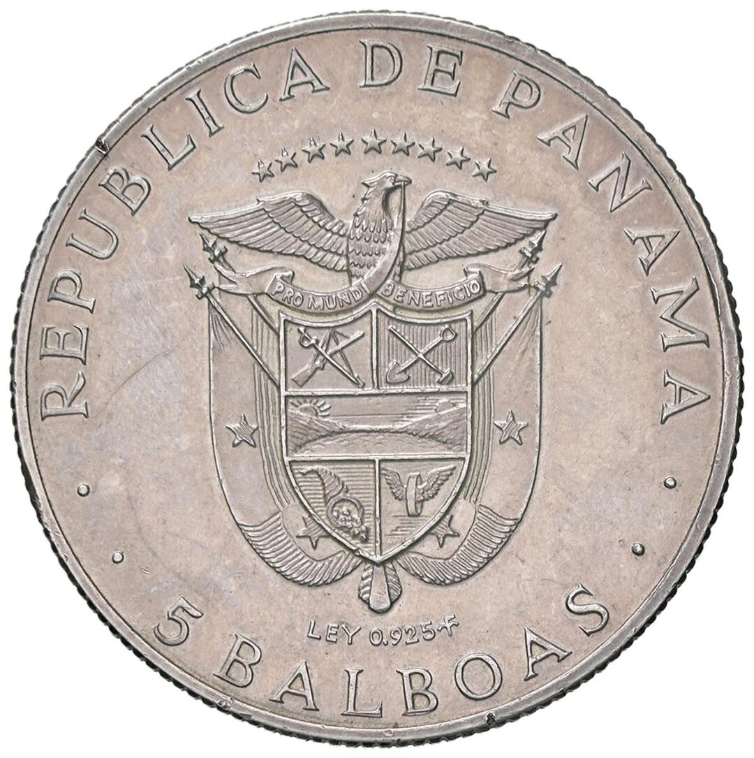 Dritto moneta