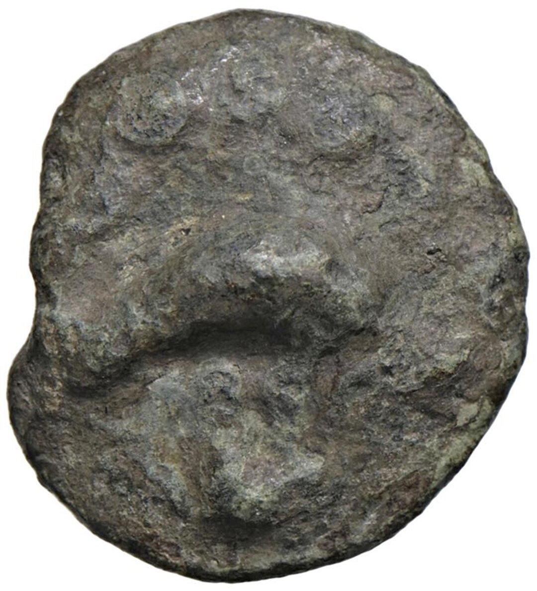 Dritto moneta