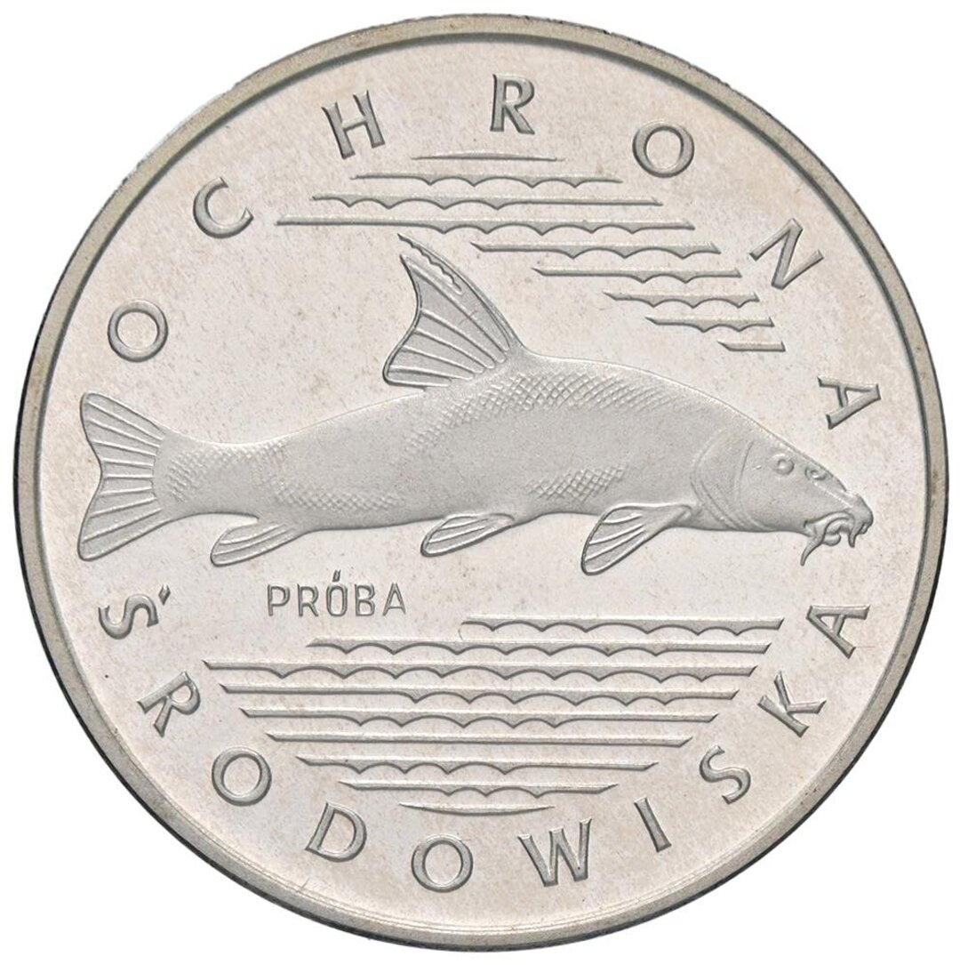Dritto moneta