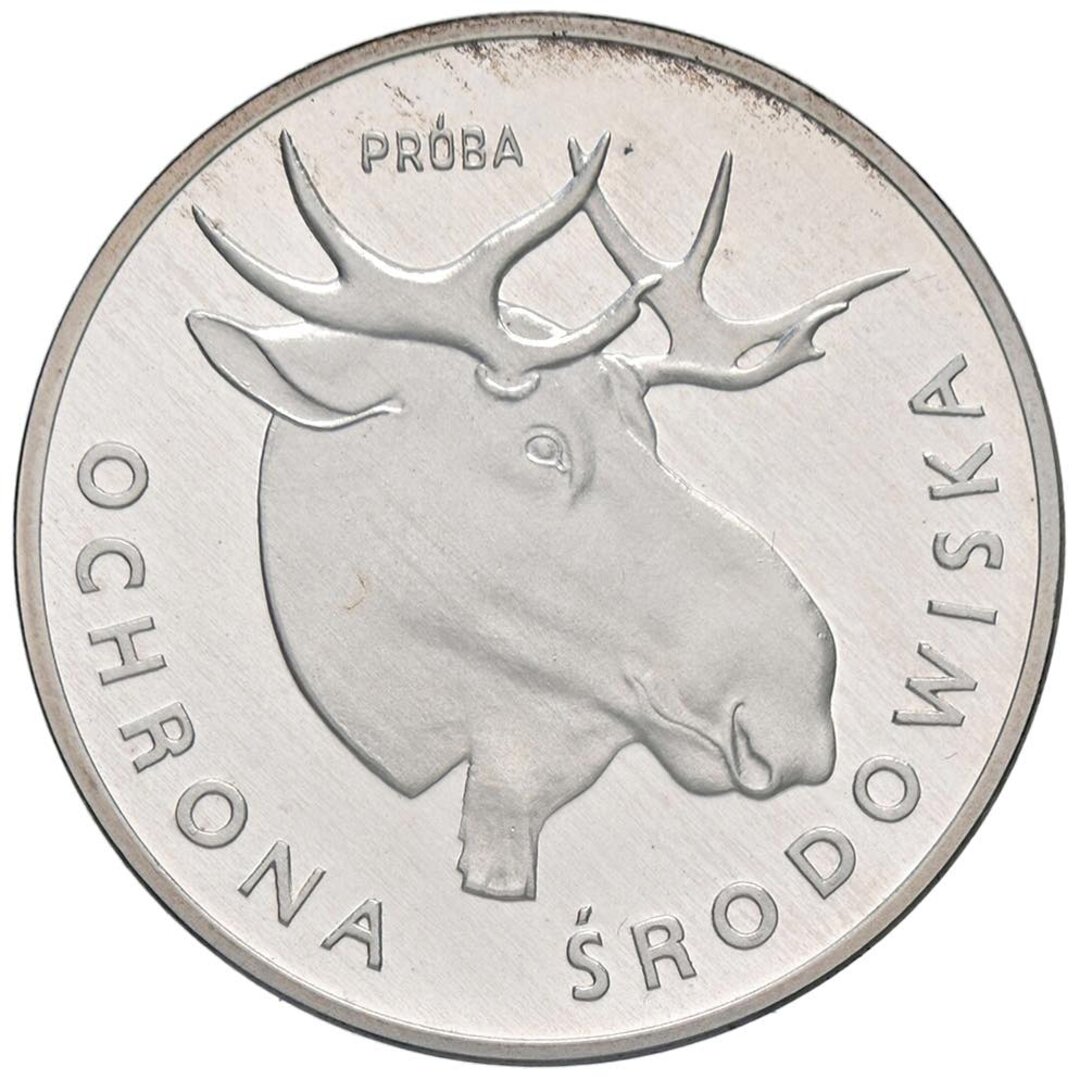 Dritto moneta