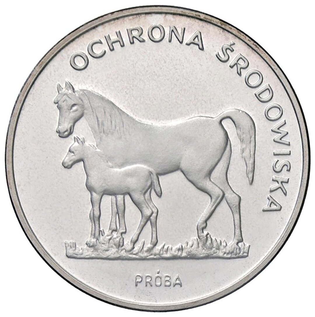 Dritto moneta
