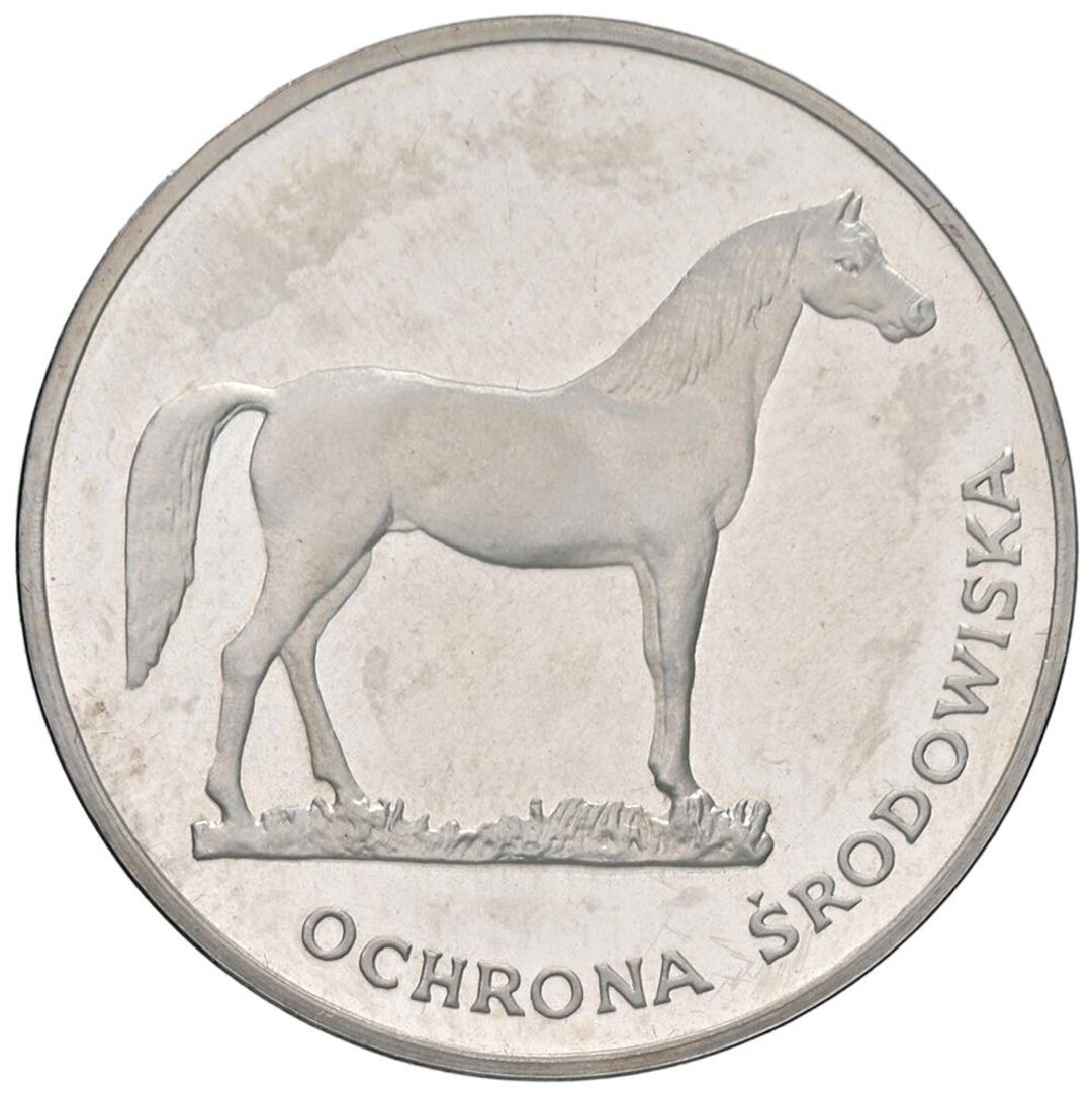 Dritto moneta