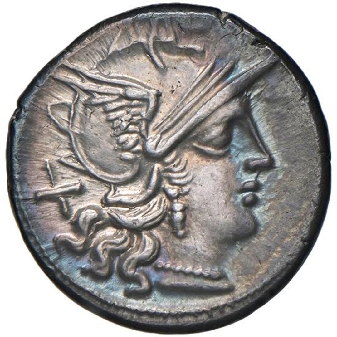 Dritto moneta