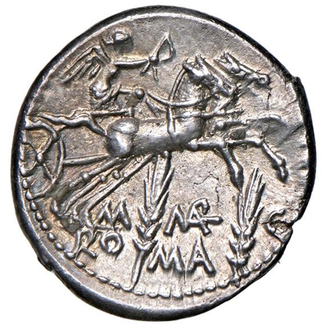 Rovescio moneta