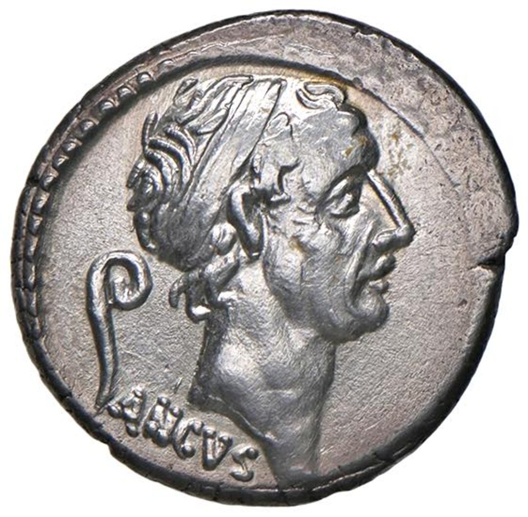 Dritto moneta