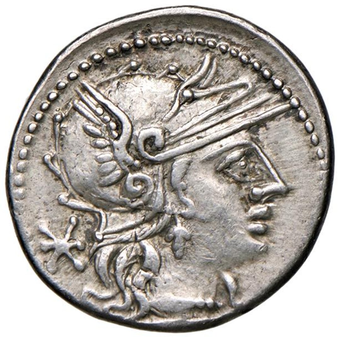 Dritto moneta