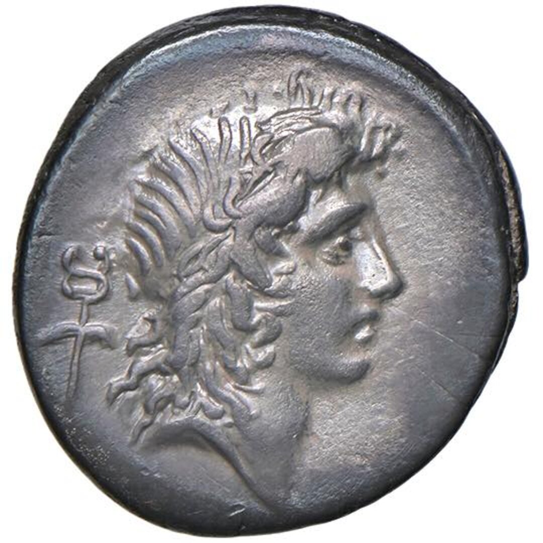 Dritto moneta