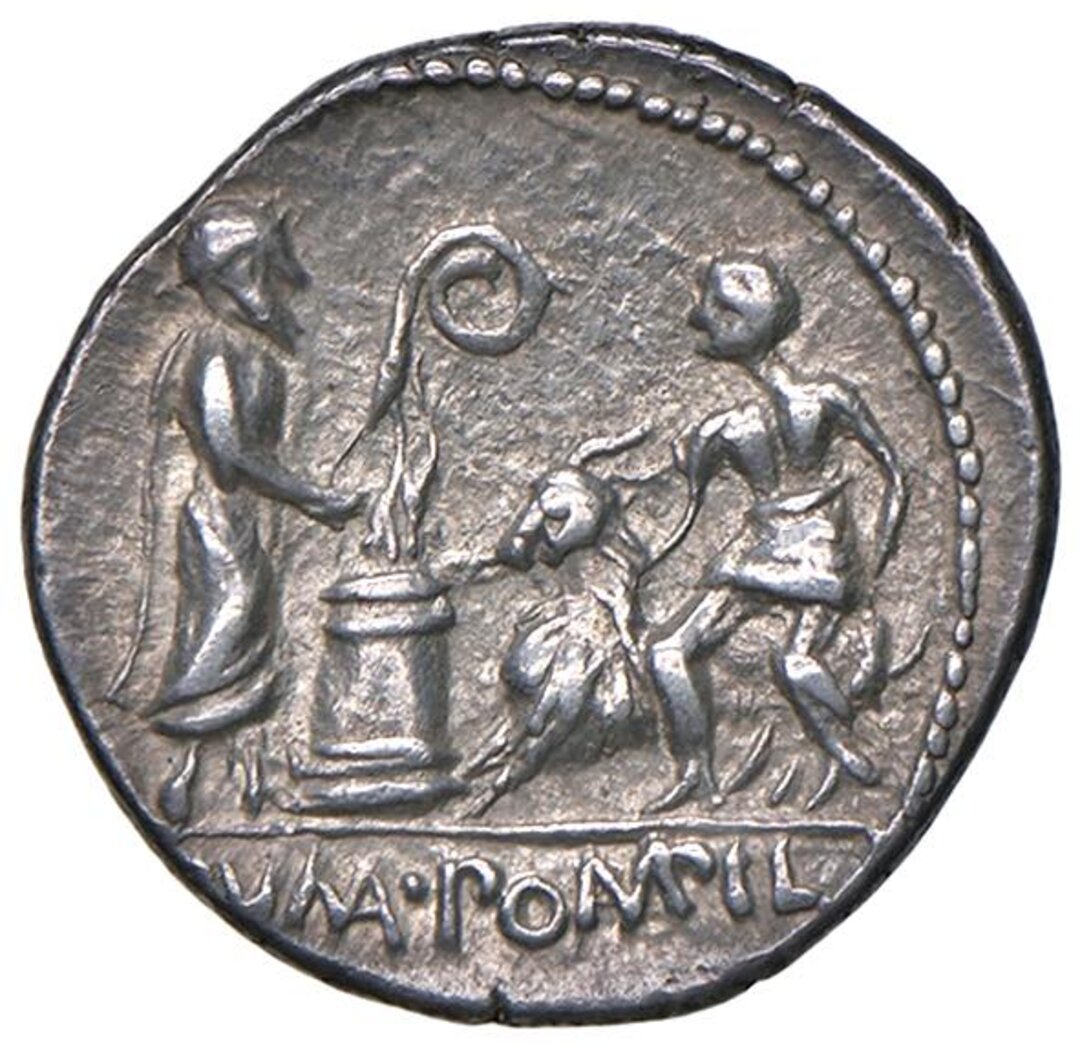 Rovescio moneta