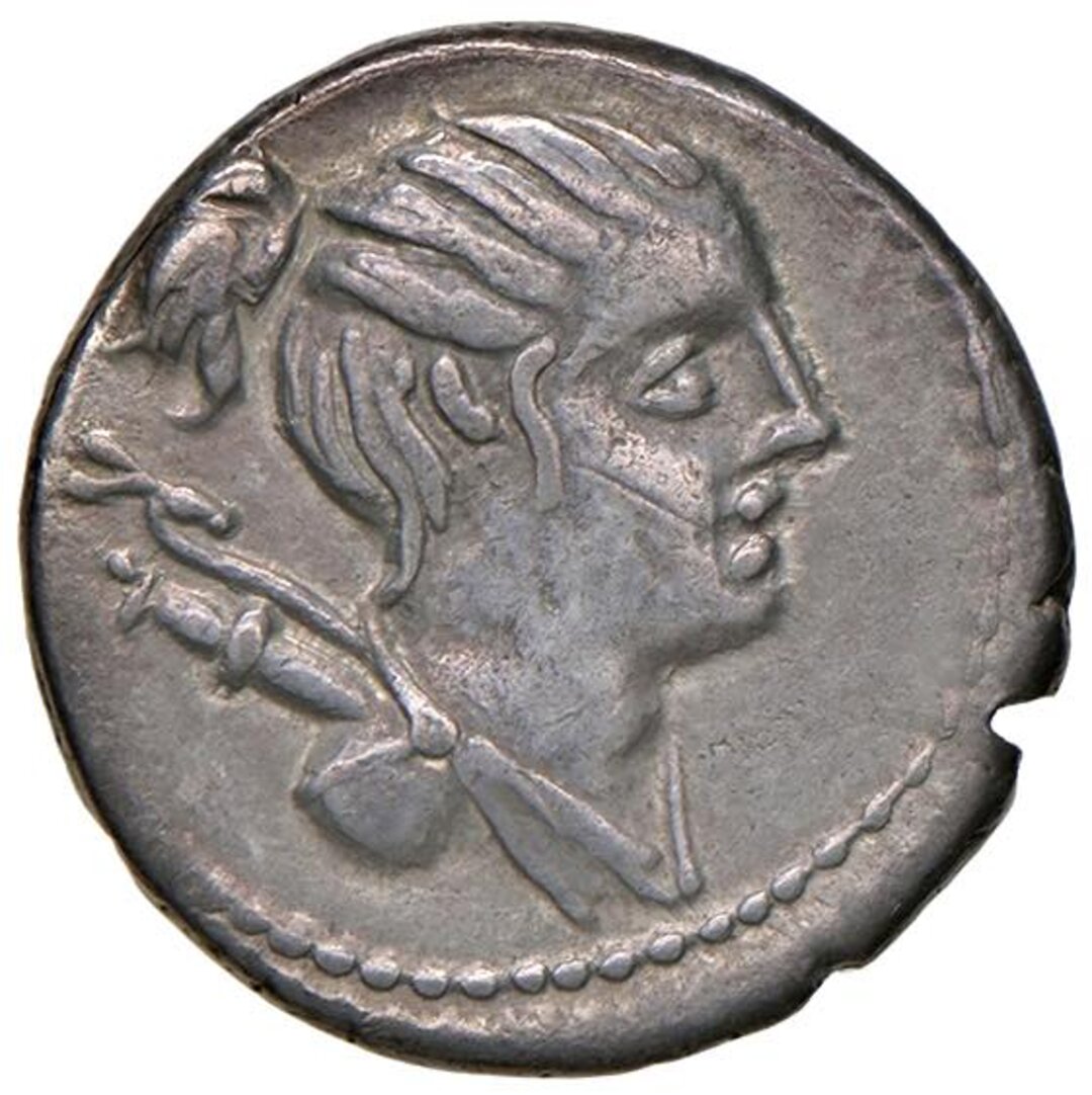 Dritto moneta