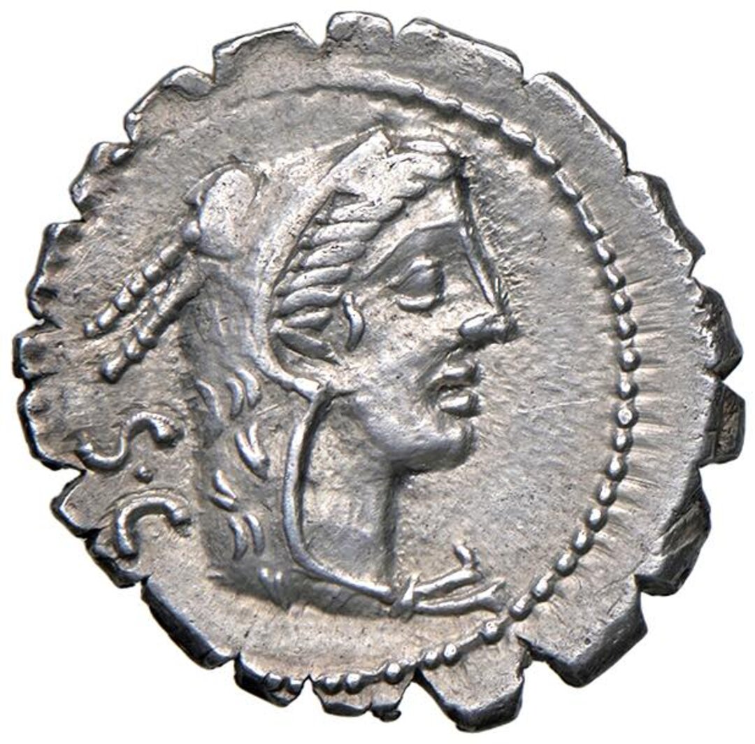 Dritto moneta