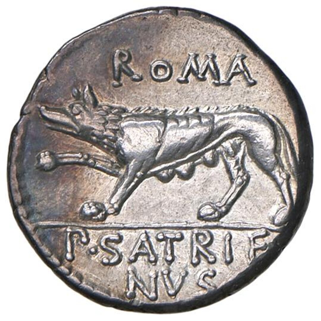 Rovescio moneta
