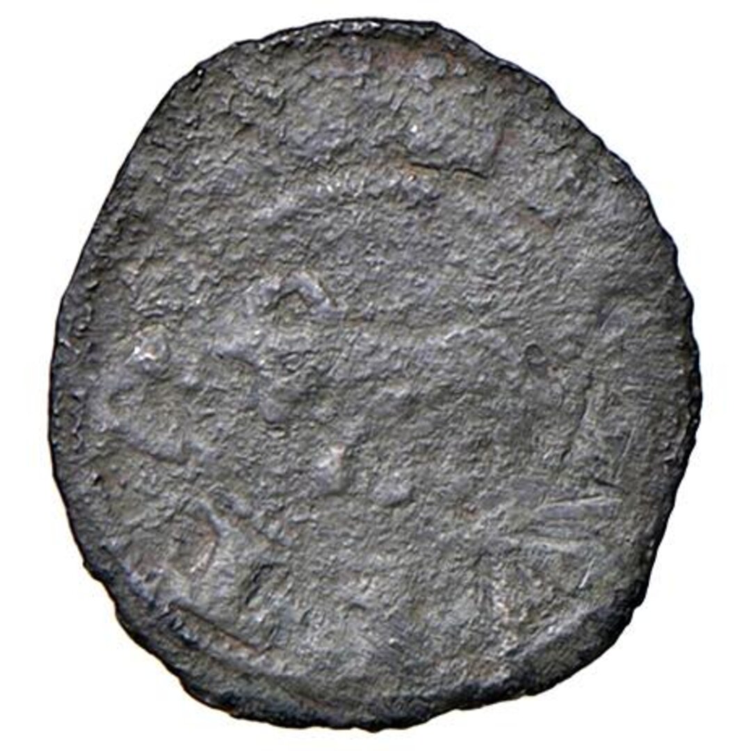 Dritto moneta