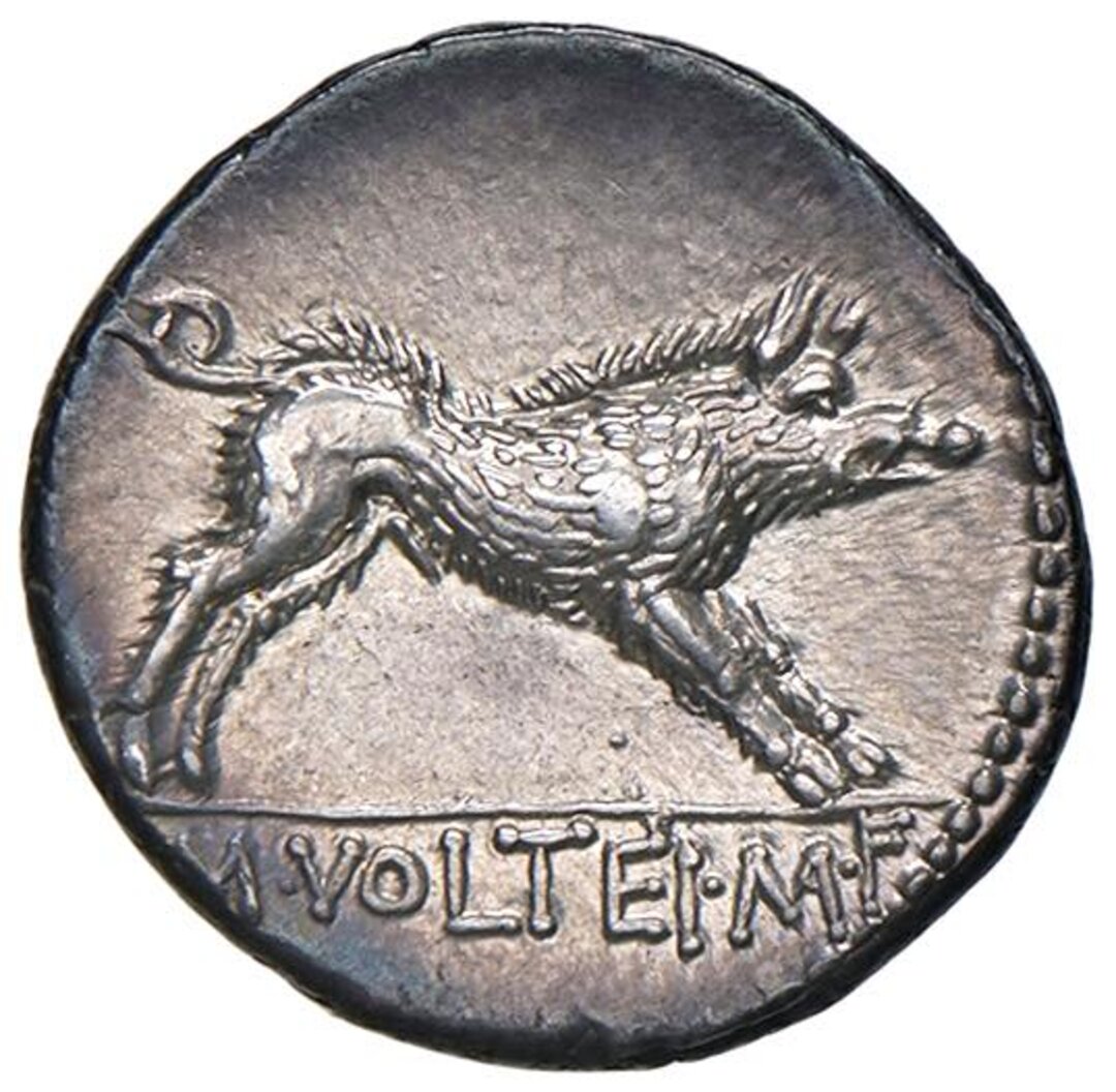 Rovescio moneta