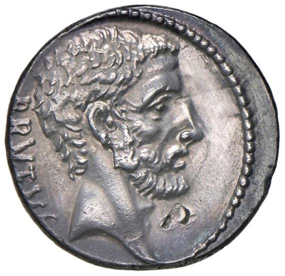 Dritto moneta