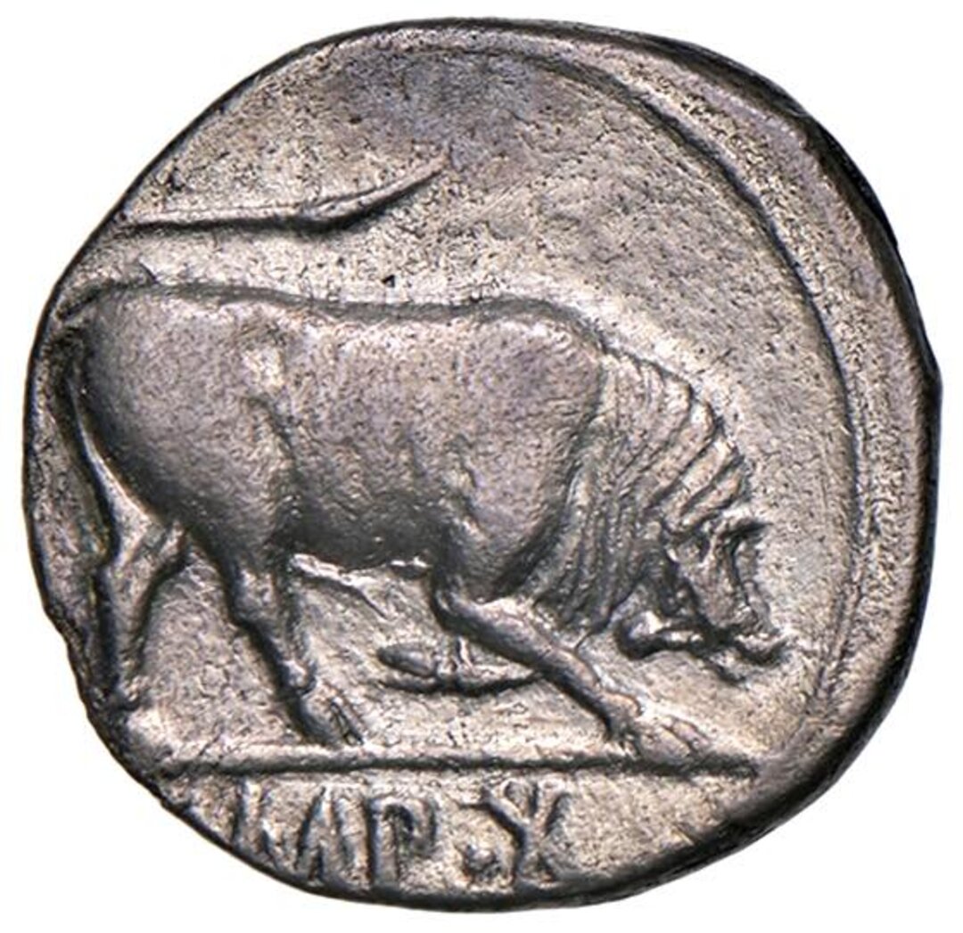 Rovescio moneta