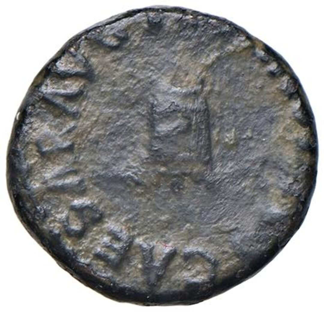 Dritto moneta