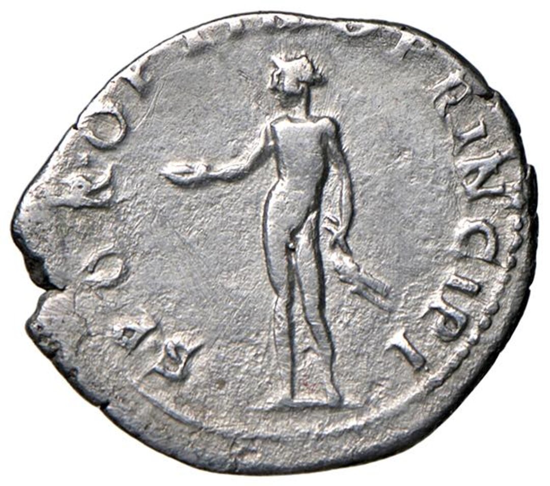 Rovescio moneta