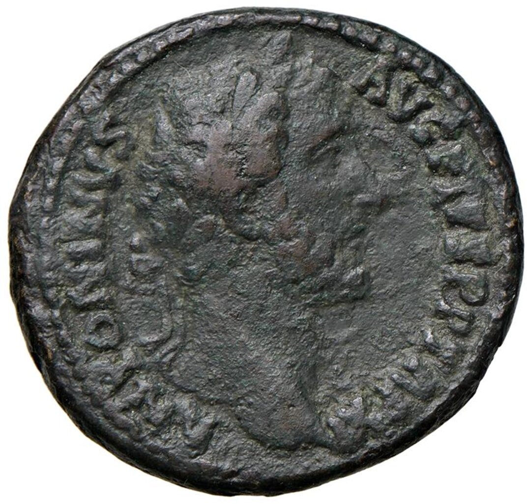 Dritto moneta