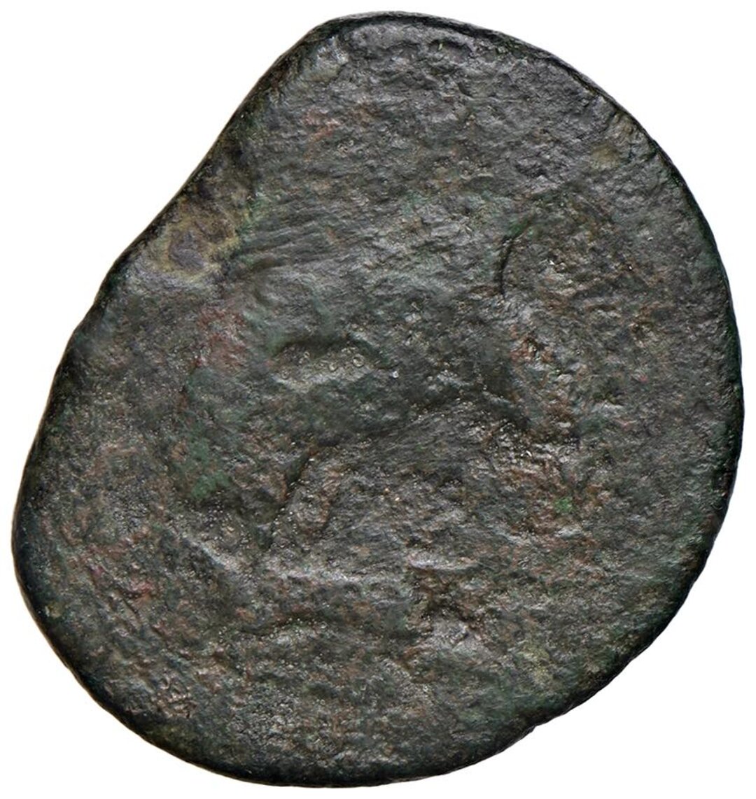 Rovescio moneta