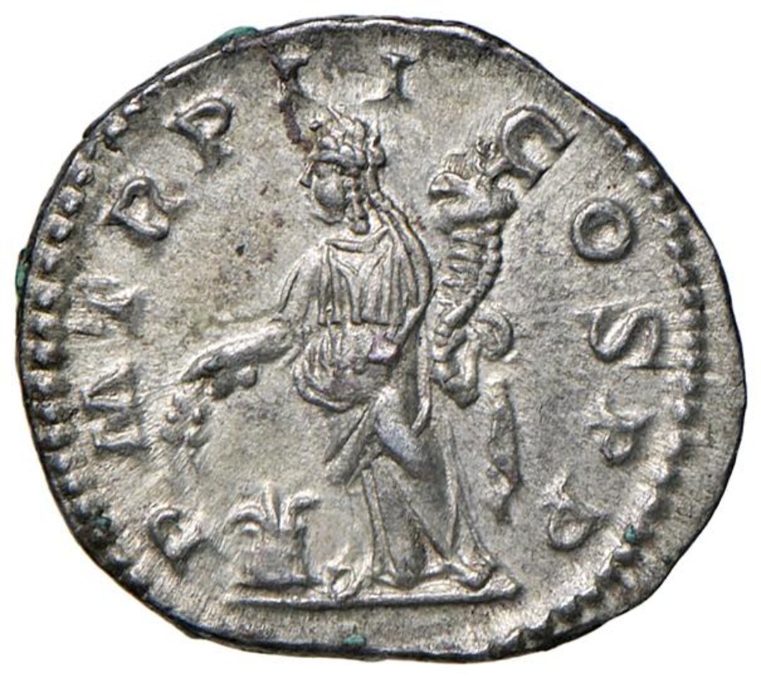 Rovescio moneta