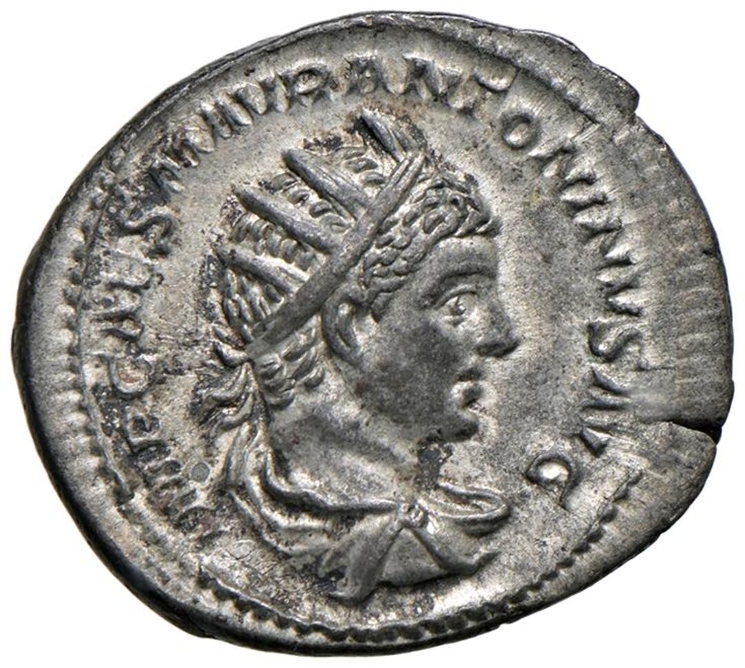 Dritto moneta