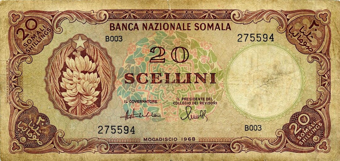 Dritto moneta