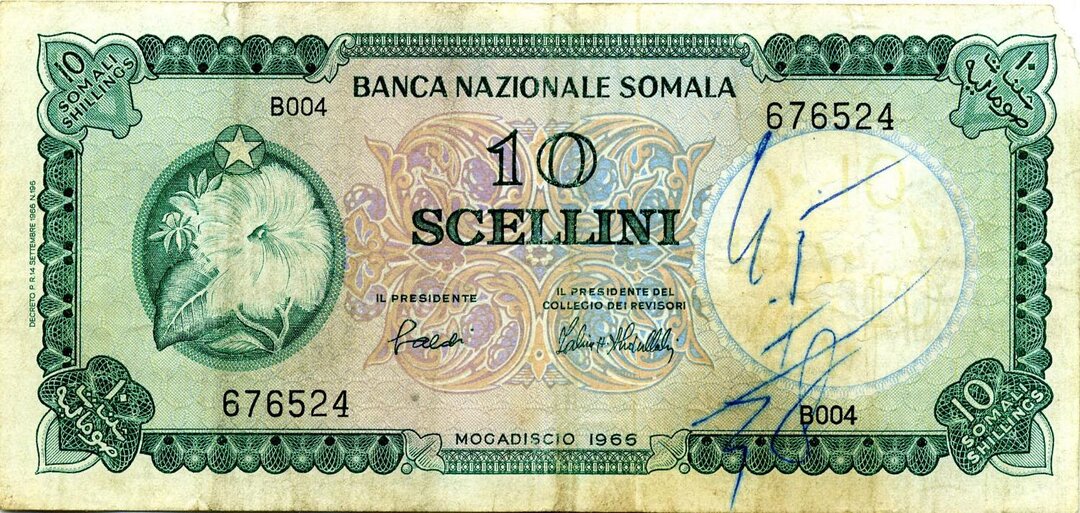Dritto moneta