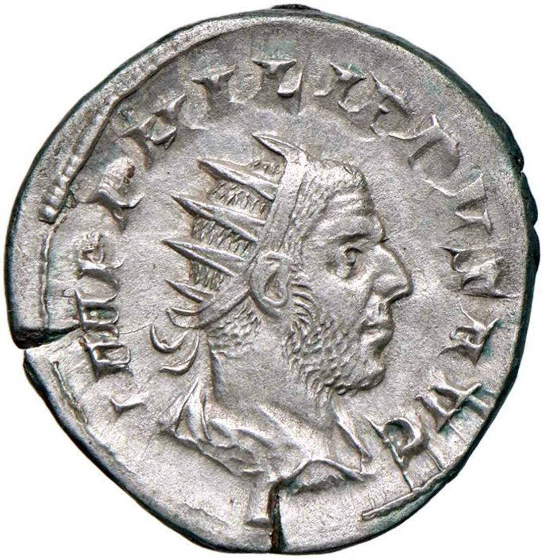 Dritto moneta