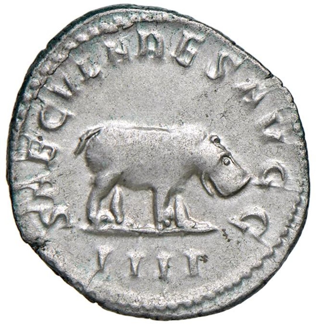 Rovescio moneta
