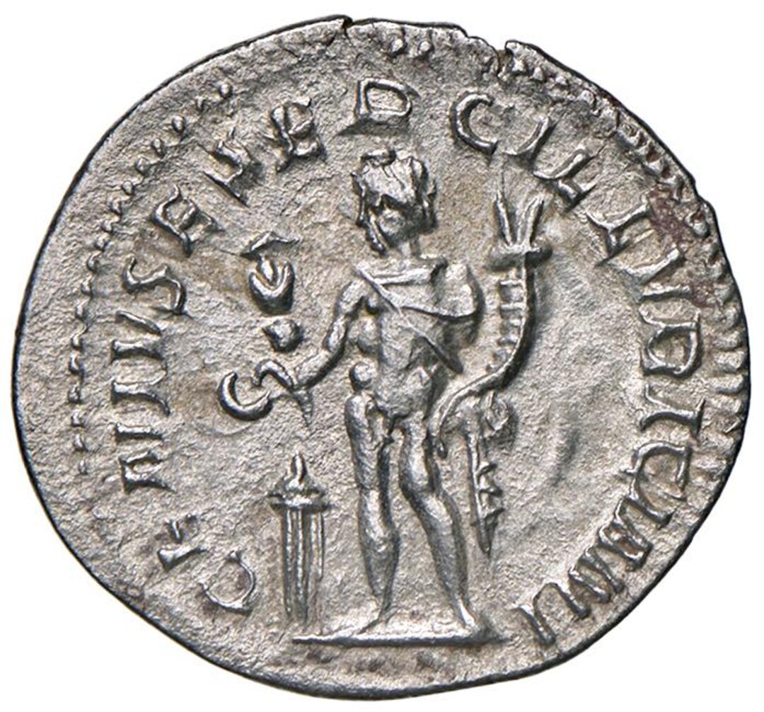 Rovescio moneta