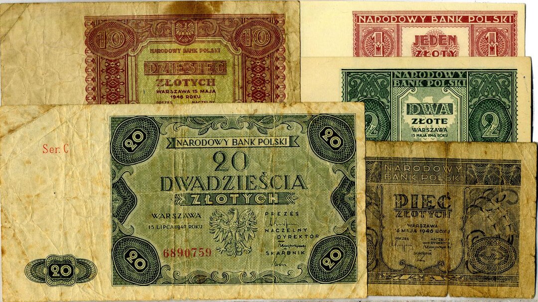 Dritto moneta