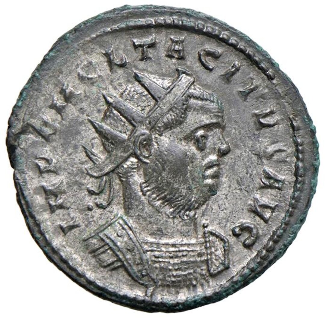 Dritto moneta
