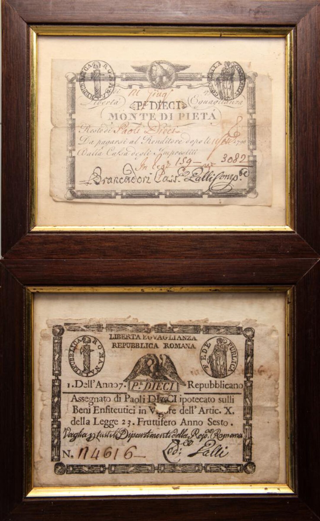 Dritto moneta