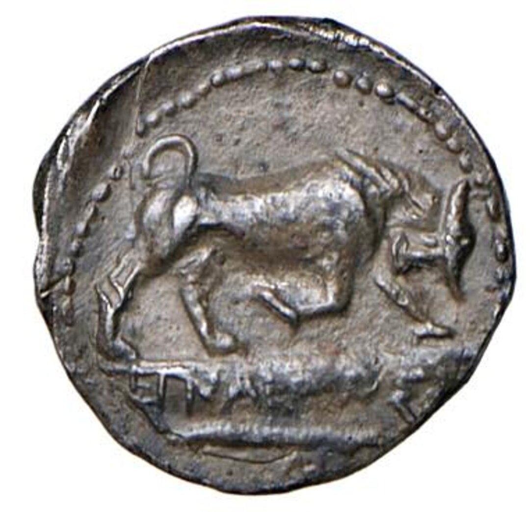 Rovescio moneta