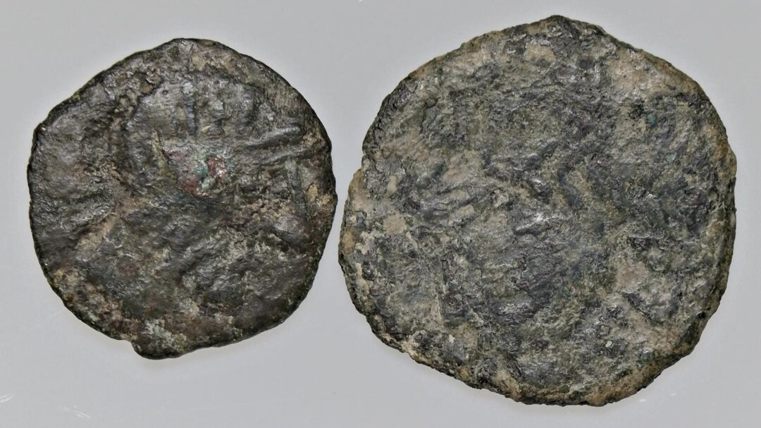 Dritto moneta