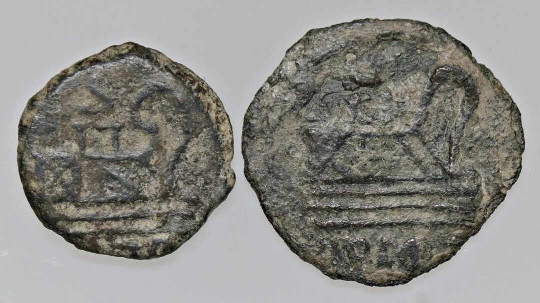 Rovescio moneta
