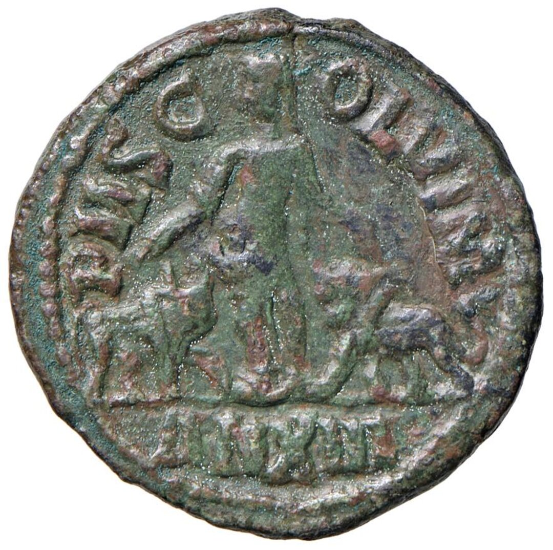 Rovescio moneta