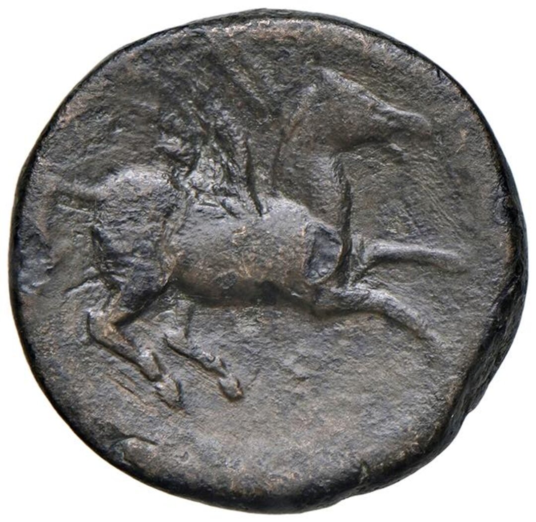 Rovescio moneta
