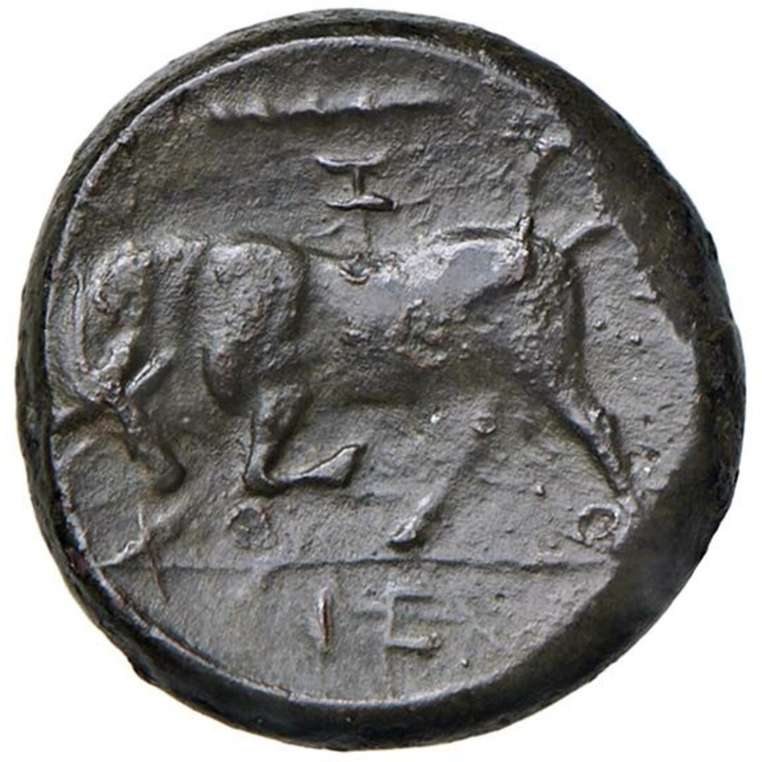 Rovescio moneta