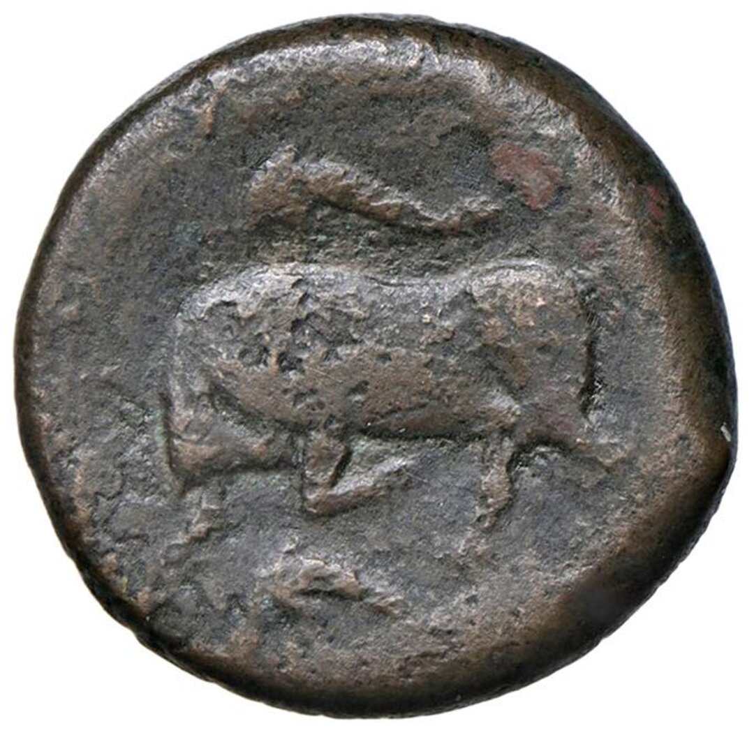 Rovescio moneta
