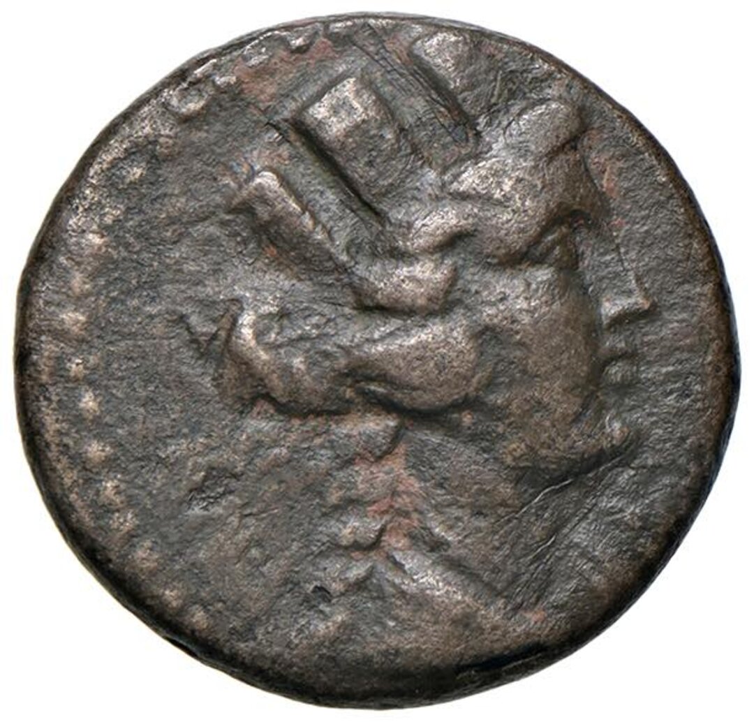 Dritto moneta