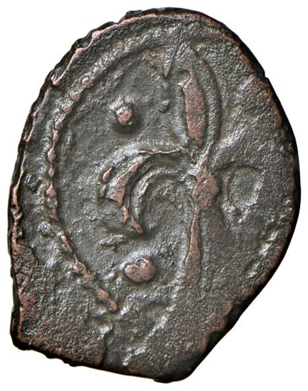 Rovescio moneta