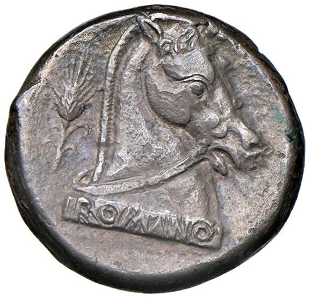 Rovescio moneta
