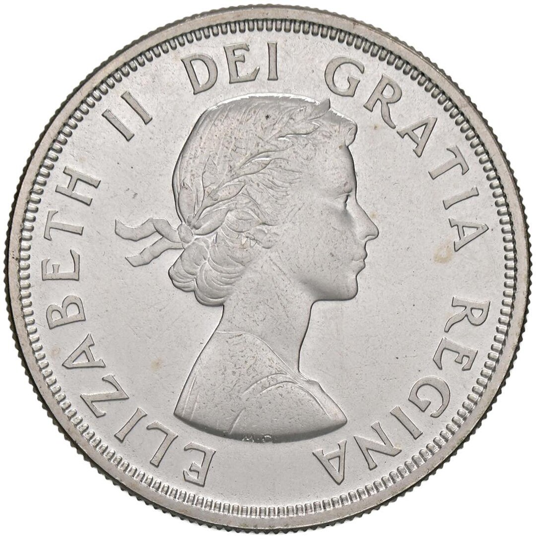 Dritto moneta