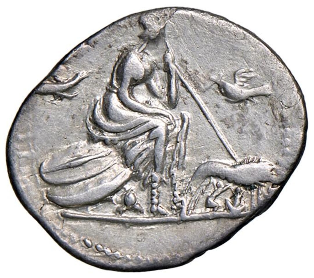 Rovescio moneta