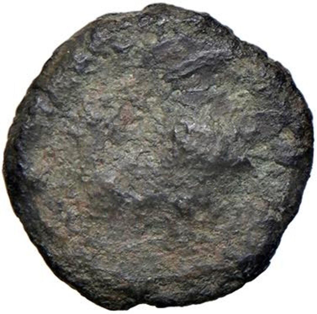 Dritto moneta
