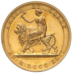 Immagine rovescio
