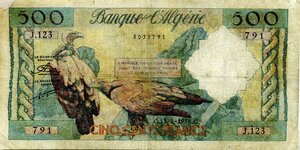 Immagine diritto